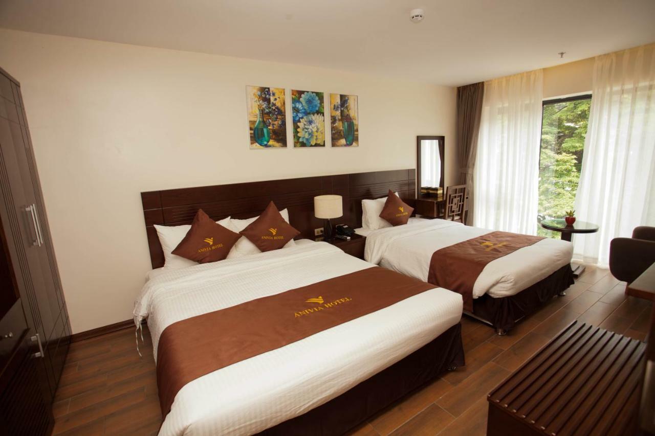 Anivia Tam Dao Hotel Son Dinh Exteriör bild